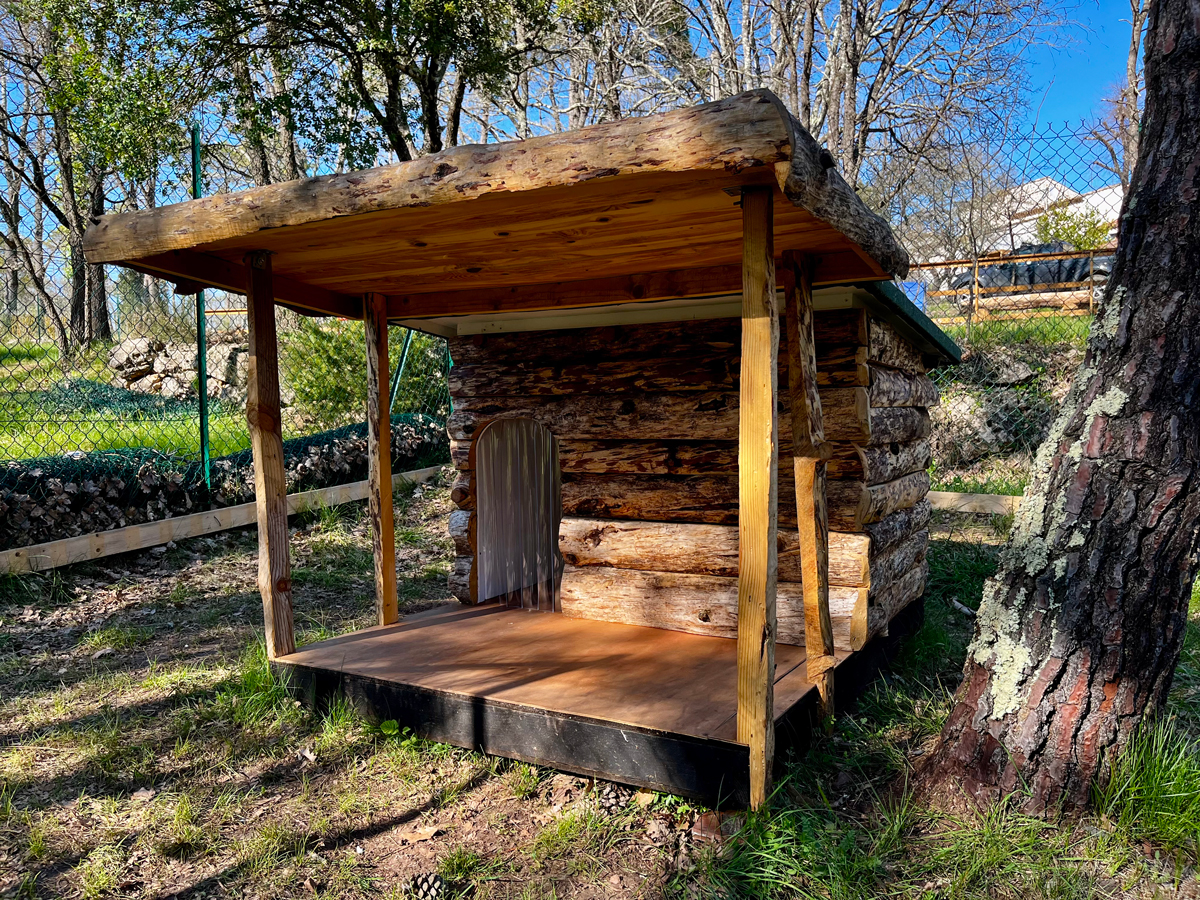 CaniCool – Pension & Sports in the South of France