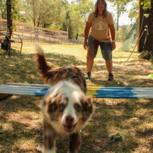Long Jump | DOG - Dog Outdoor Games 2